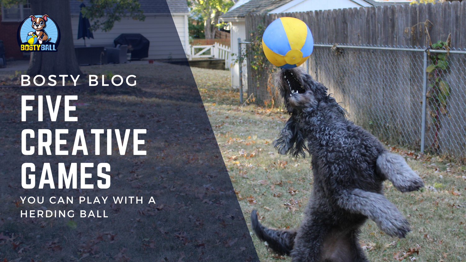 5 Creative Games You Can Play with a Herding Ball