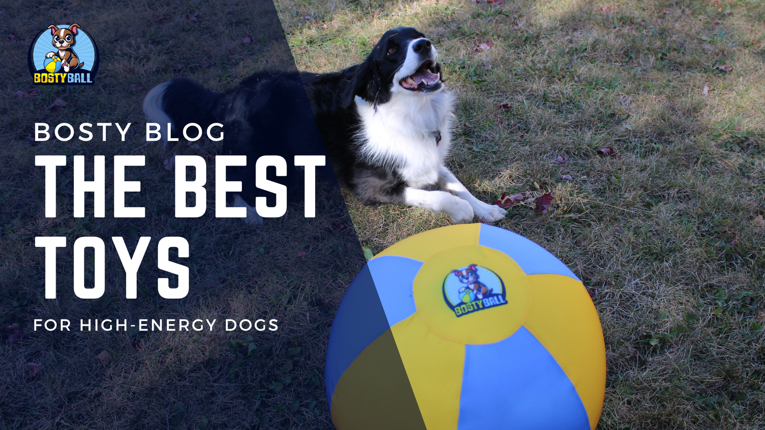 The best toys for high-energy dogs