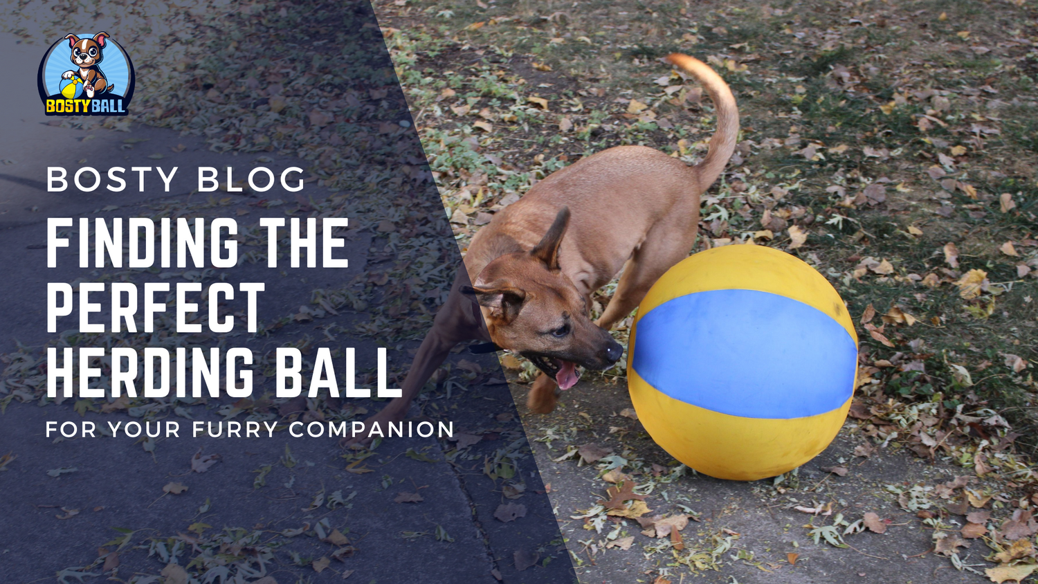Finding the Perfect Herding Ball for Your Furry Companion