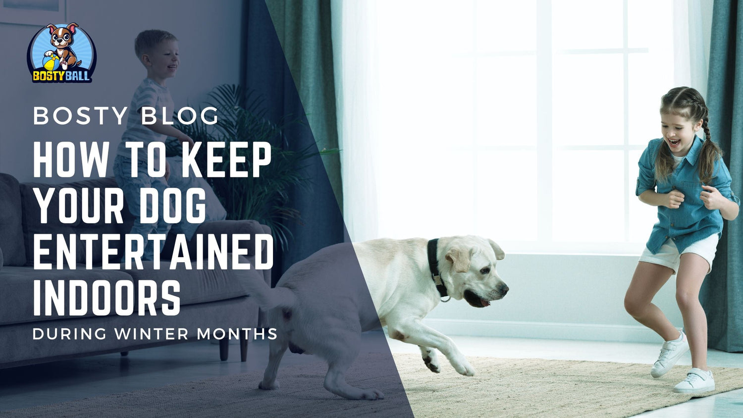 How to Keep Your Dog Entertained Indoors During Winter